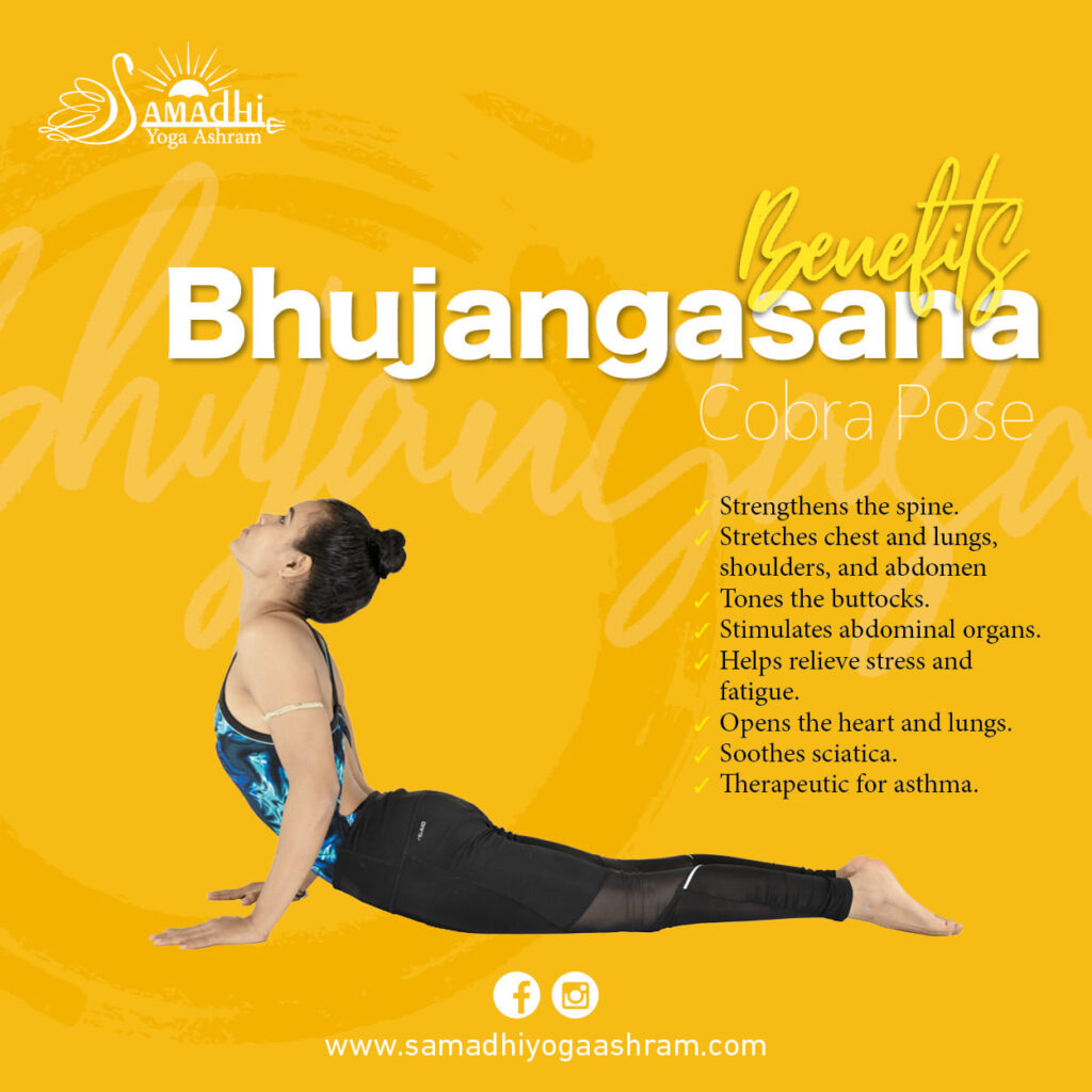 Bhujangasana Benefits