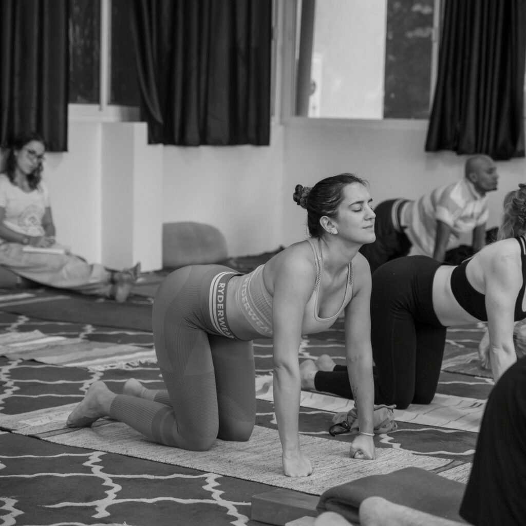 A Group of Students Practicing Cat Cow Pose During 200 Hour Yoga Teacher Training Course A Group of Students Practicing Cat Cow Pose During 200 Hour Yoga Teacher Training Course