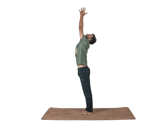 Standing Shoulders Up Towards Pose