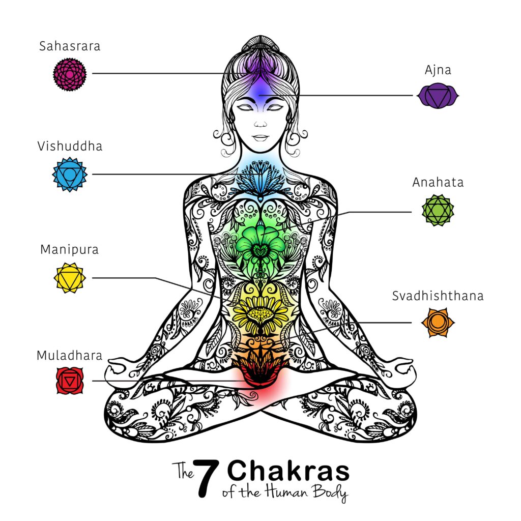 7 Chakras of the Human Body