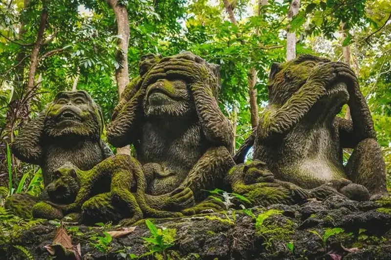 Sacred Monkey Forest Sanctuary in Ubud, Bali